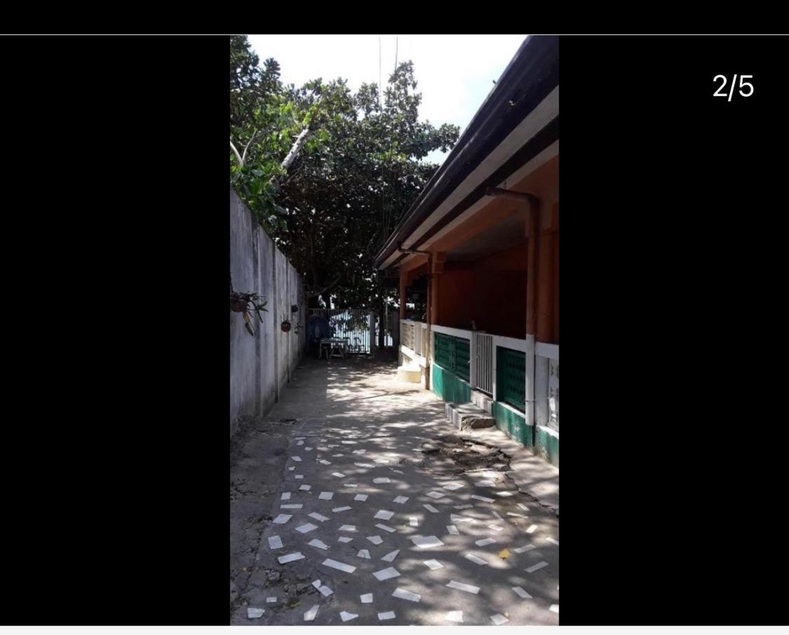 Pescador View - Beachfront & Nearby The Ocean Hostels & Restaurant Moalboal Room photo