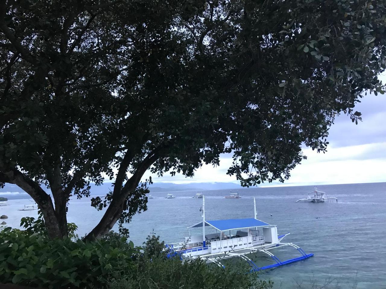 Pescador View - Beachfront & Nearby The Ocean Hostels & Restaurant Moalboal Exterior photo